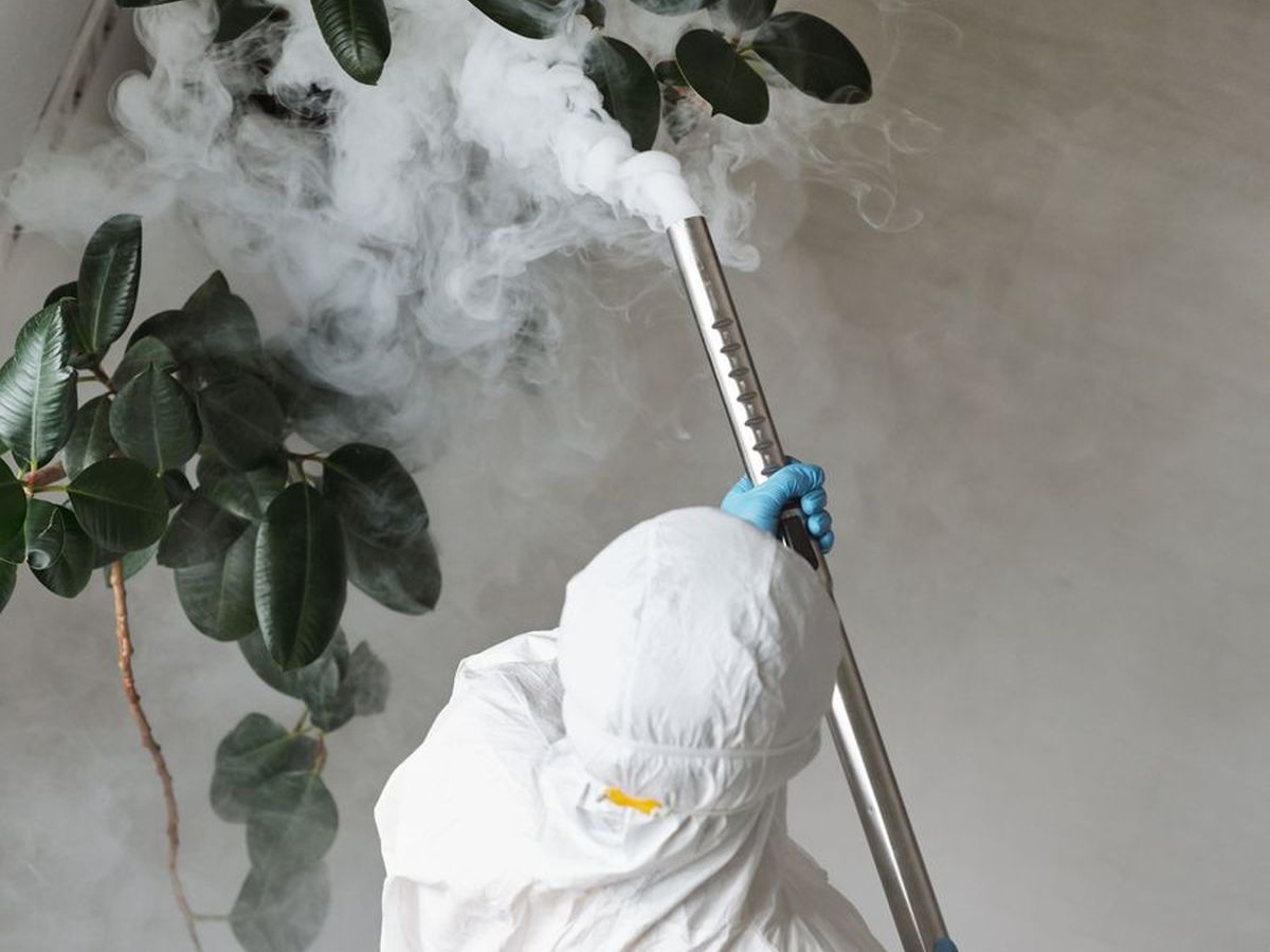 Technicien en combinaison appliquant un traitement au pulvérisateur